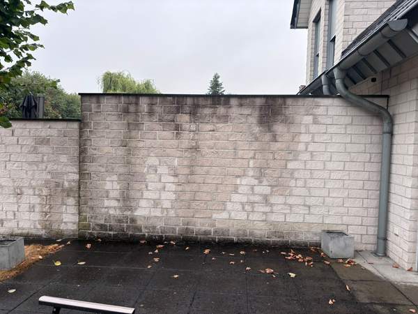 Lichte tuinmuur met donkere aanslag en groene vervuiling, voor het reinigen