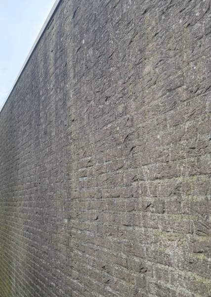 Grijze gevel, langs de muur omhoog gefotografeerd
